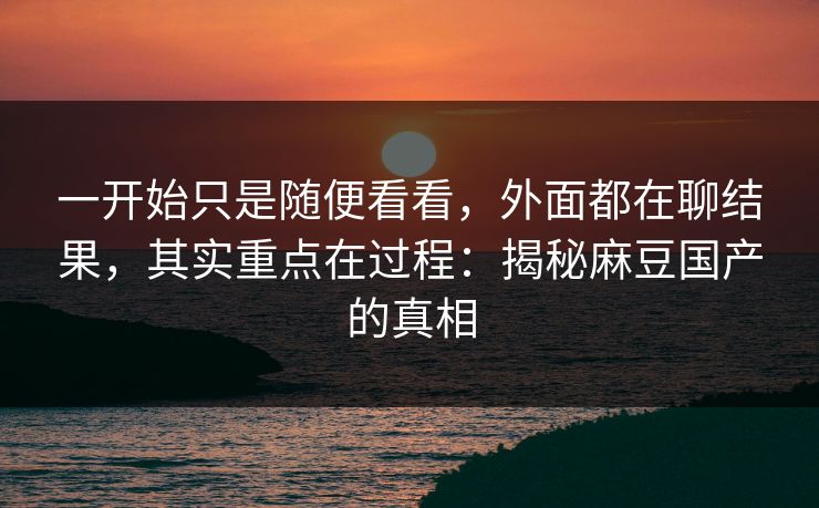 一开始只是随便看看，外面都在聊结果，其实重点在过程：揭秘麻豆国产的真相