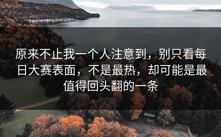 原来不止我一个人注意到,别只看每日大赛表面,不是最热,却可能是最值得回头翻的一条